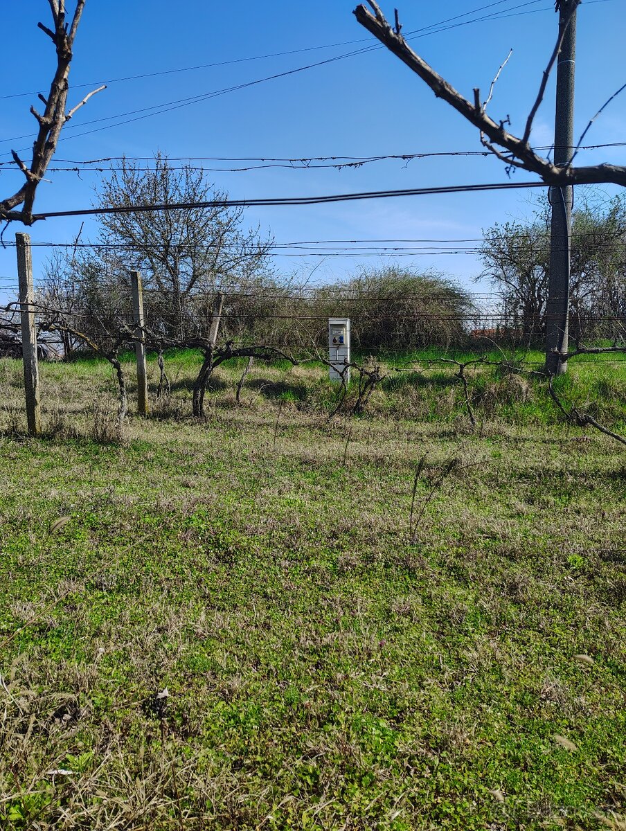Pozemok v srdci vinárskej obci Moča, KN Lepšia cena - 3