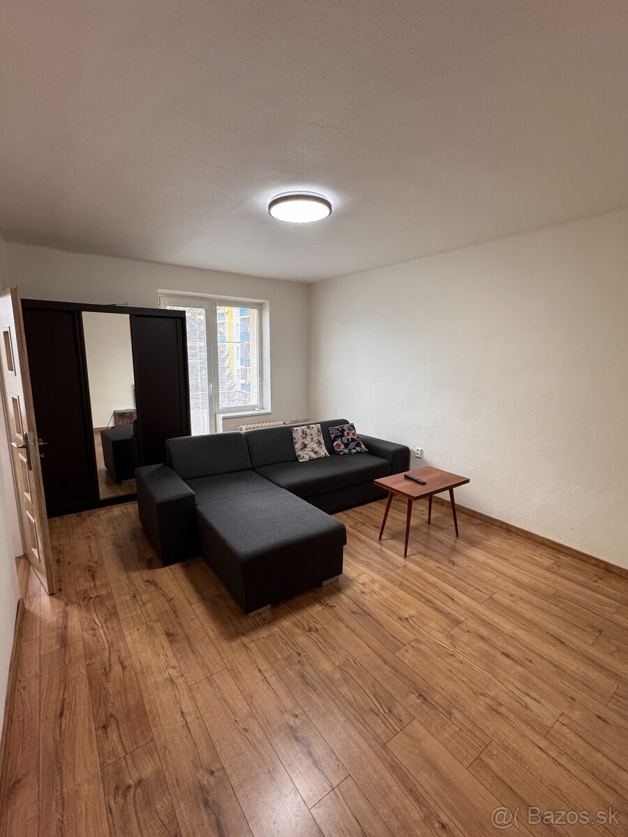 1 izbový tehlový byt po kompletnej rekonštrukcii na prenájom - 3