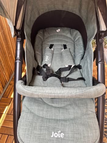 Joie mytrax flex laurel - 3