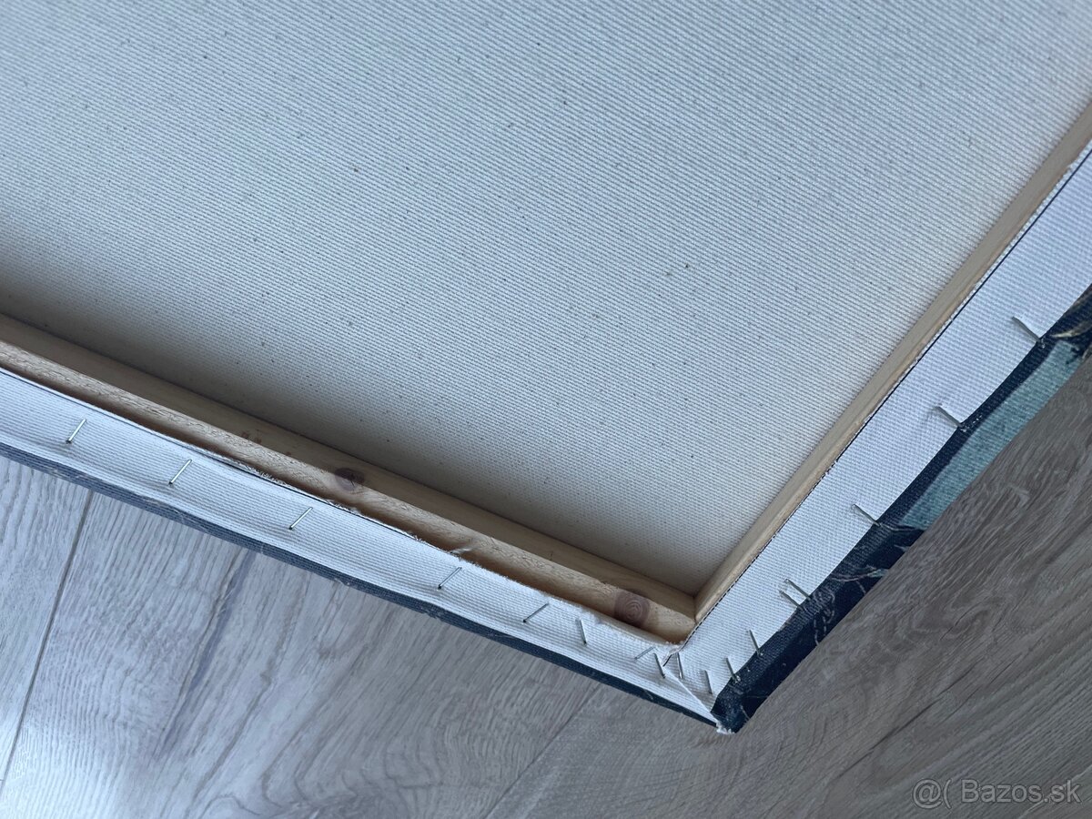 Reprodukcia obrazu – tlač na plátne - 3