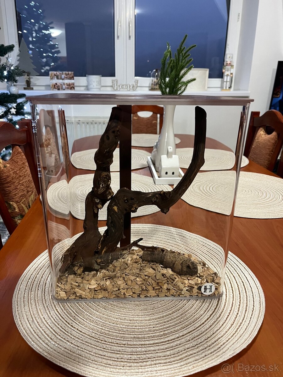 Dizajnové terárium, insektárium - 3