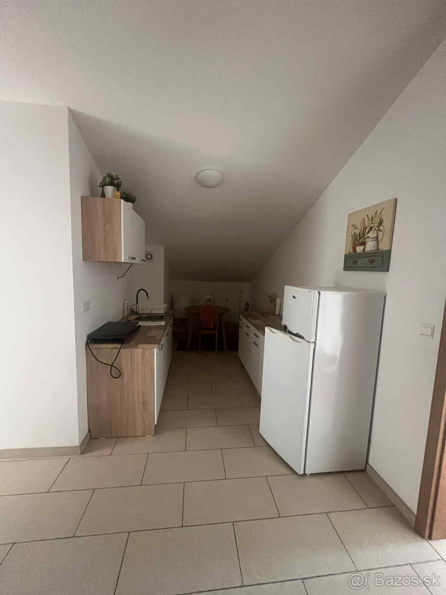 Priestranný 2-izbový apartmán v obci Makov - 3