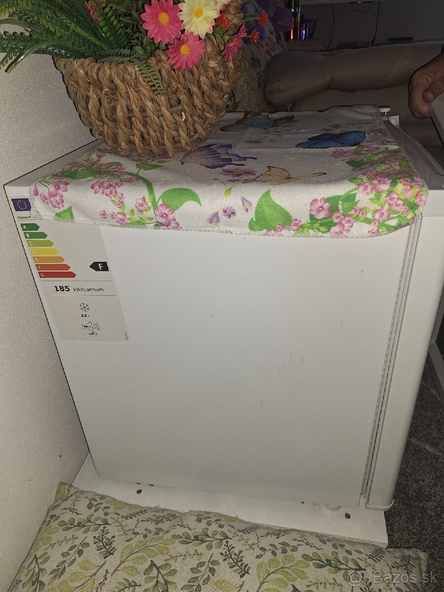 Mraznička Guzzanti - 3