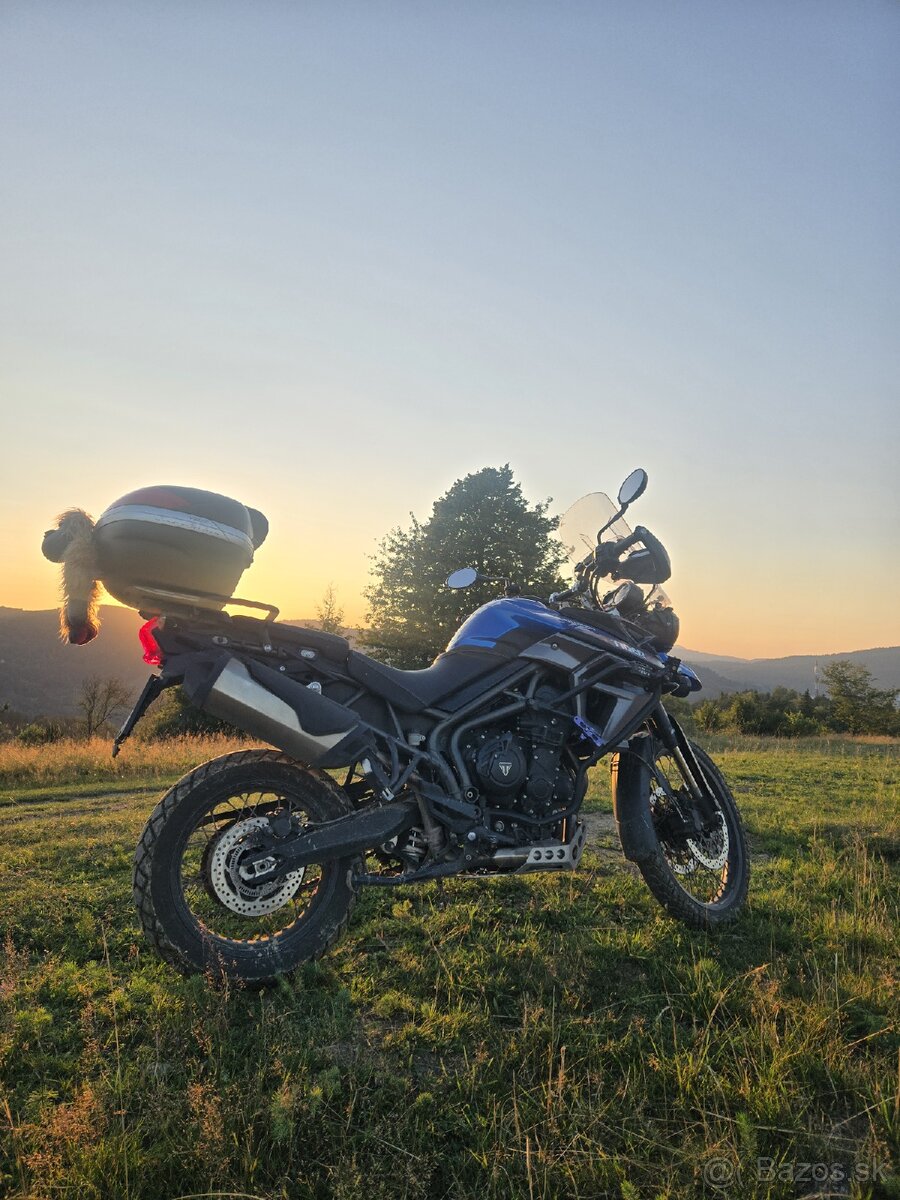 Triumph Tiger 800 XCx 2015 - 3