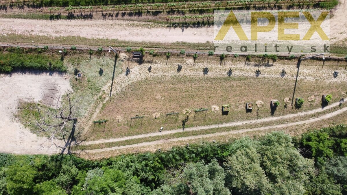 APEX reality stavebný pozemok 2019 m2 v obci Bojničky - 3