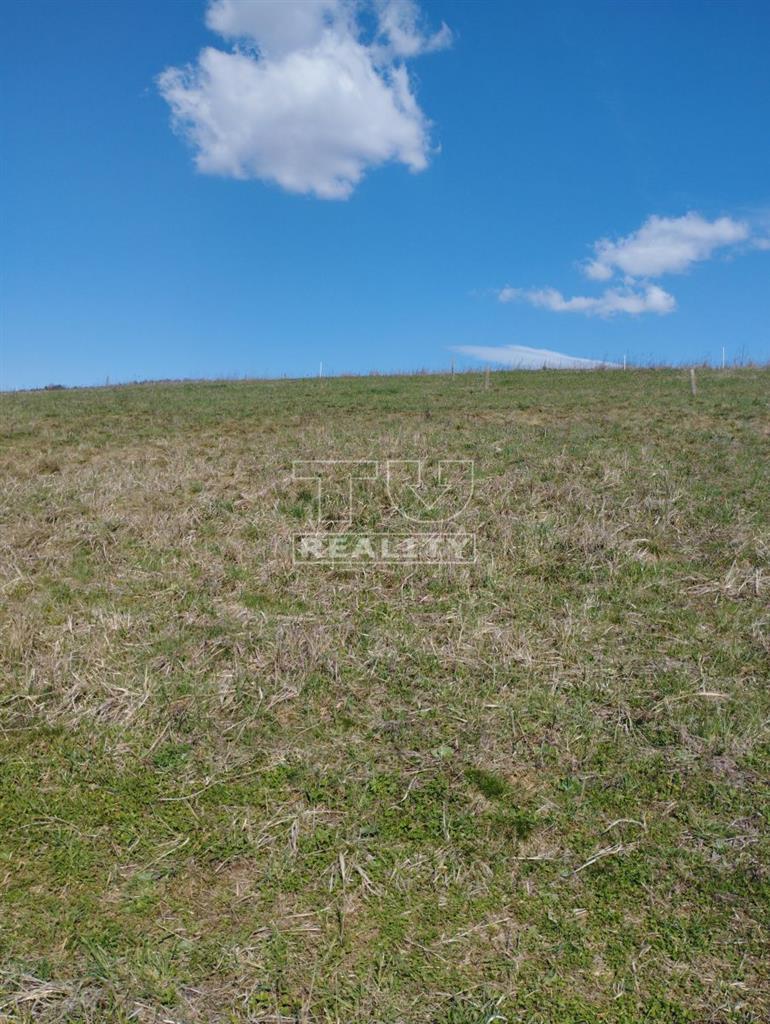 Pozemok v tichej lokalite blízko Prešova - 3