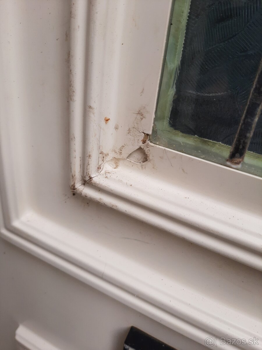 Plastove vchodove dvere ĉ 387 - 3