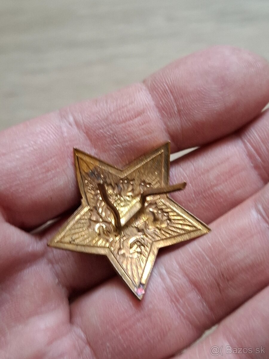 Čapicový odznak s levom - 3