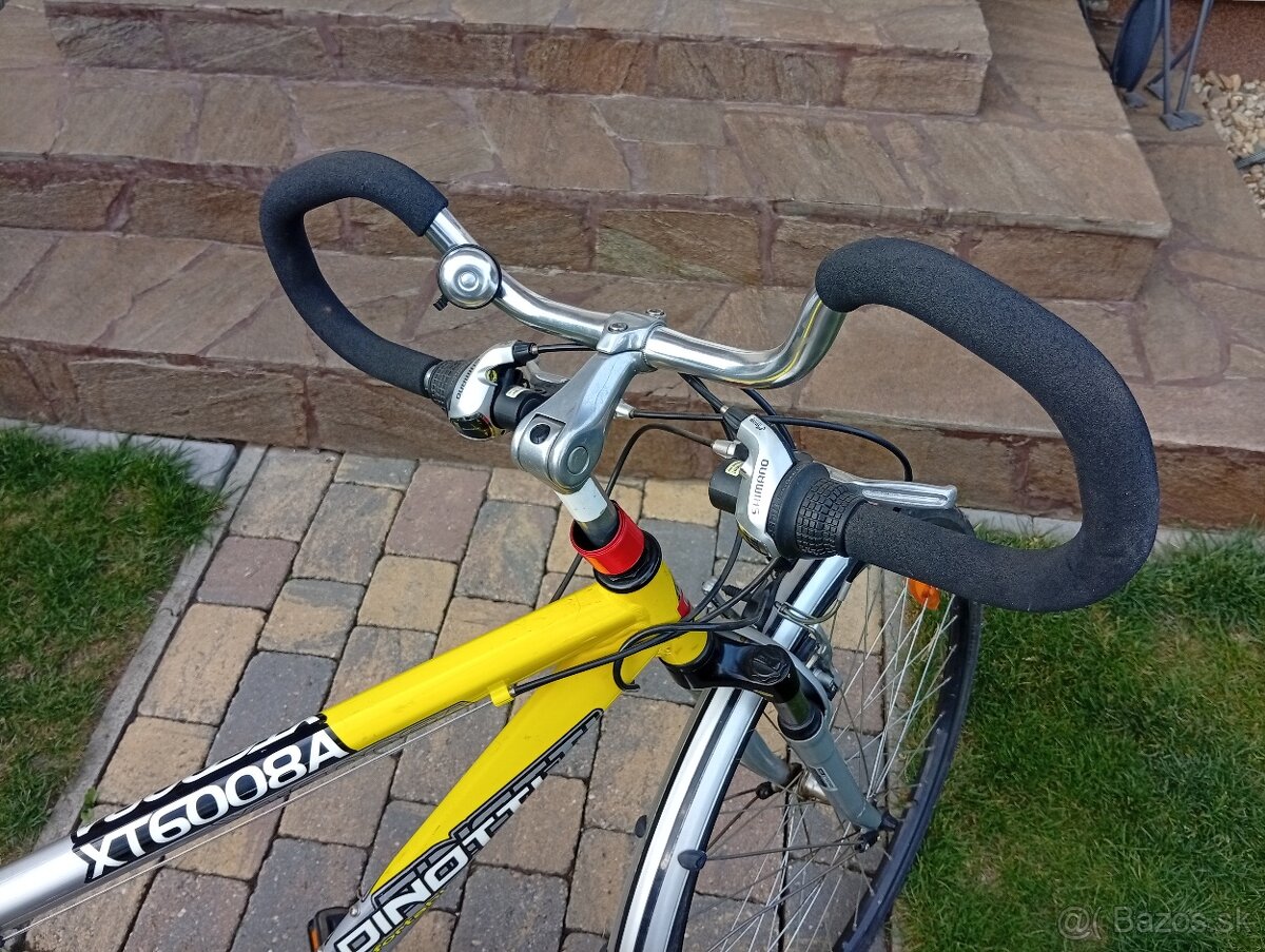 Bicykel DINOTTI XT6008A - 3