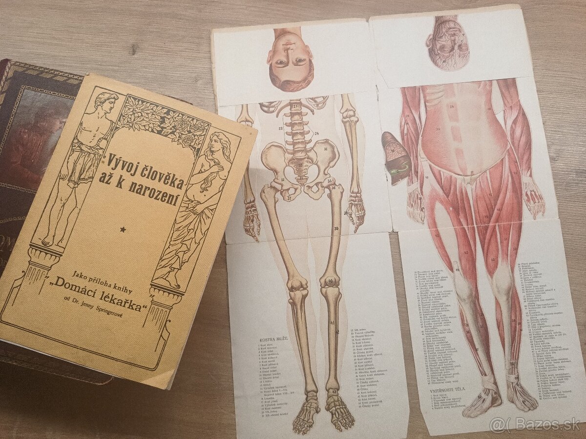 Jenny Springerová: Domáci lekárka I.,II., 1925 + rozkladacie - 3