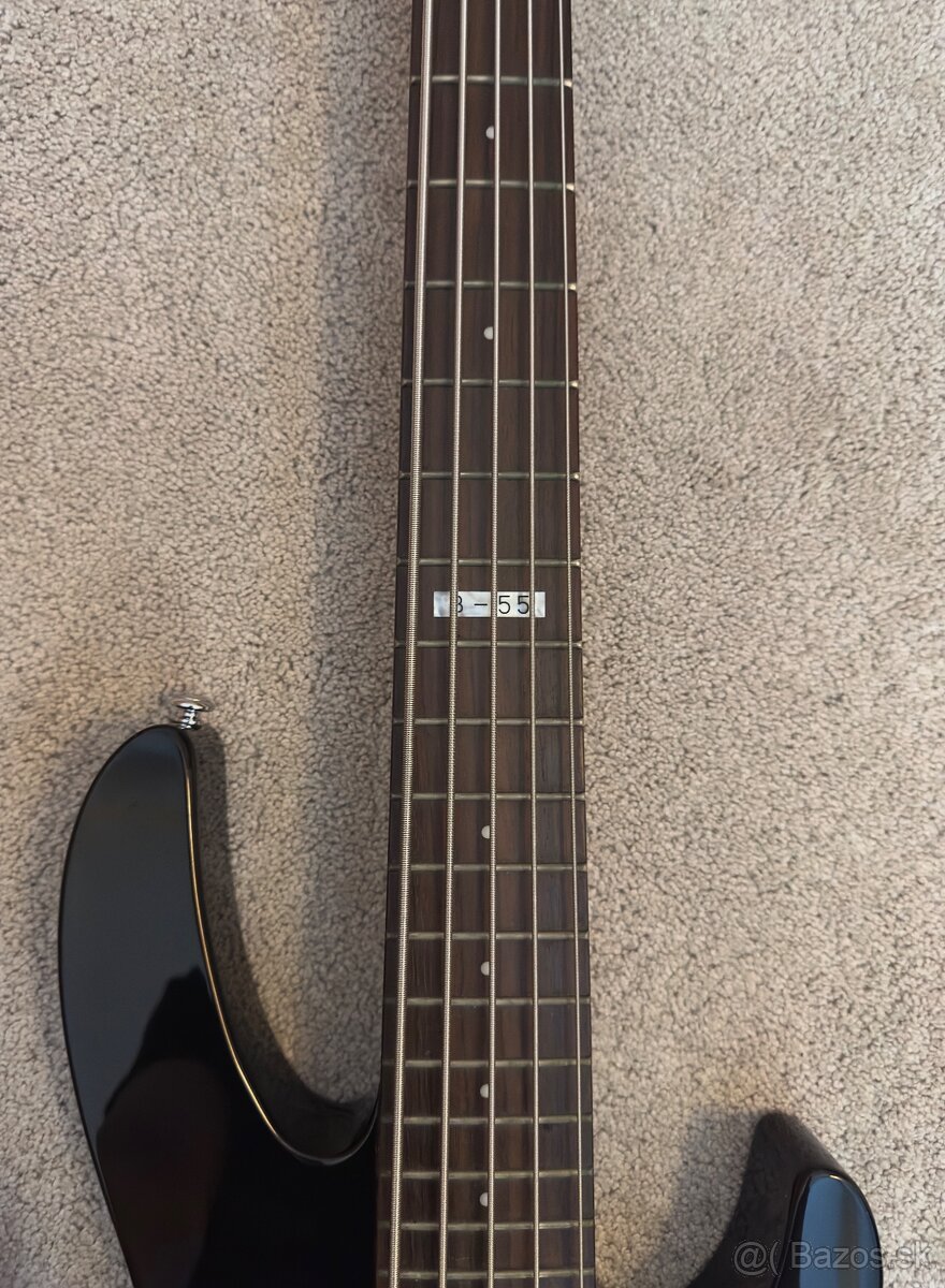 5-strunová basgitara ESP LTD B-55 BK - 3