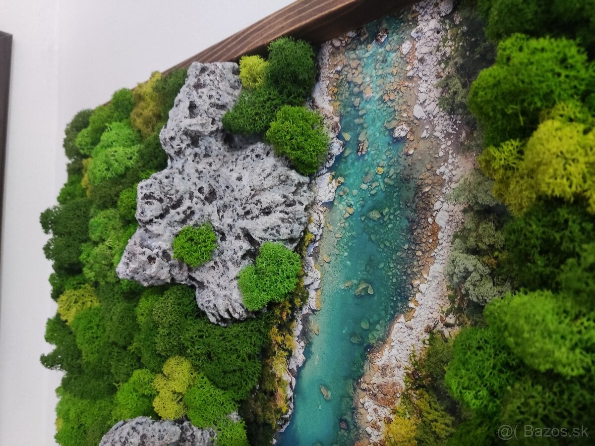 Machový obraz 54x32 - 3