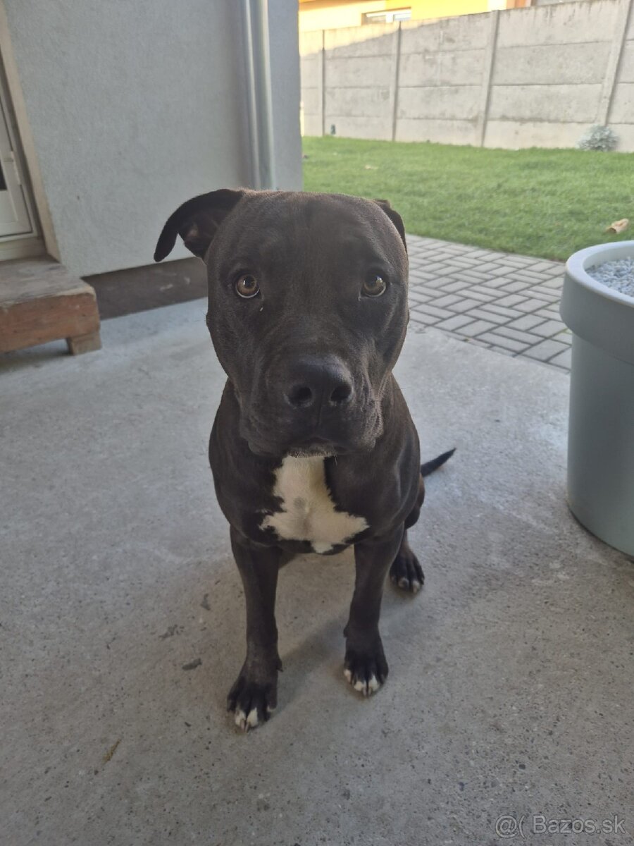 Darujem s ťažkým srdiečkom - 3