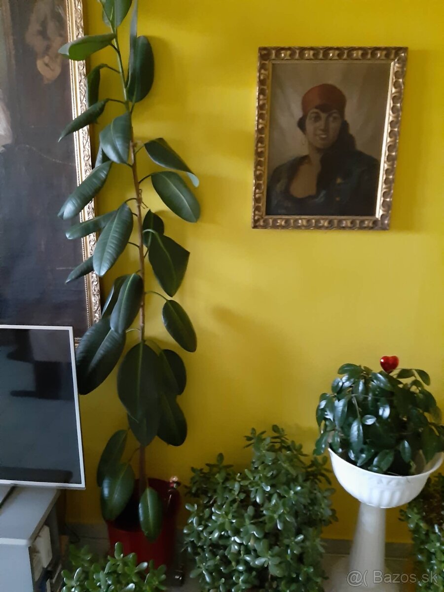 Veľké a malé kvety - 3