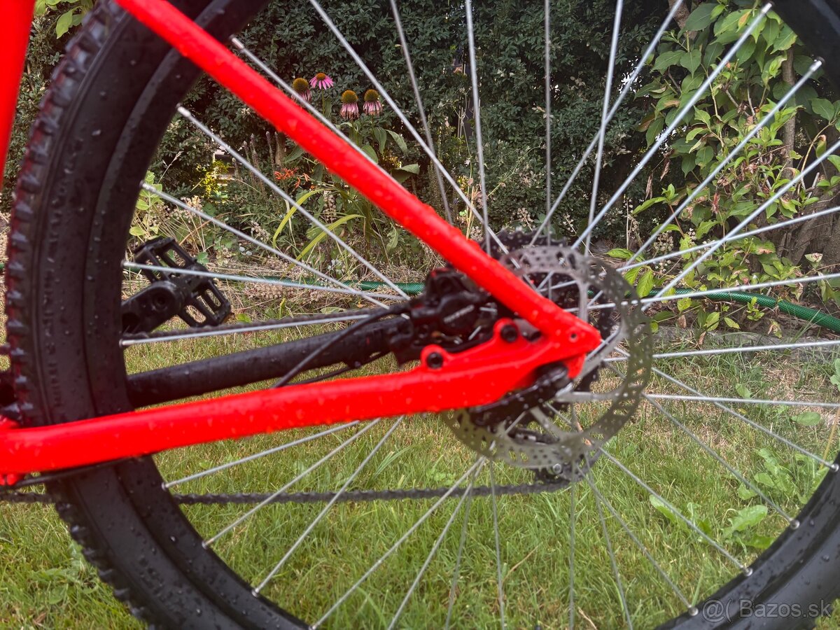 Rockrider - 3