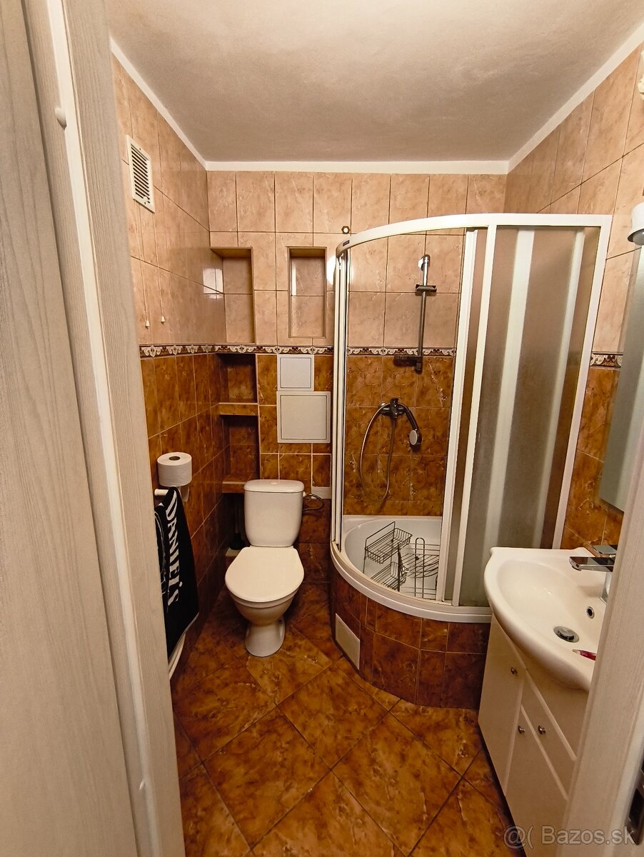 Dám do prenájmu - 3
