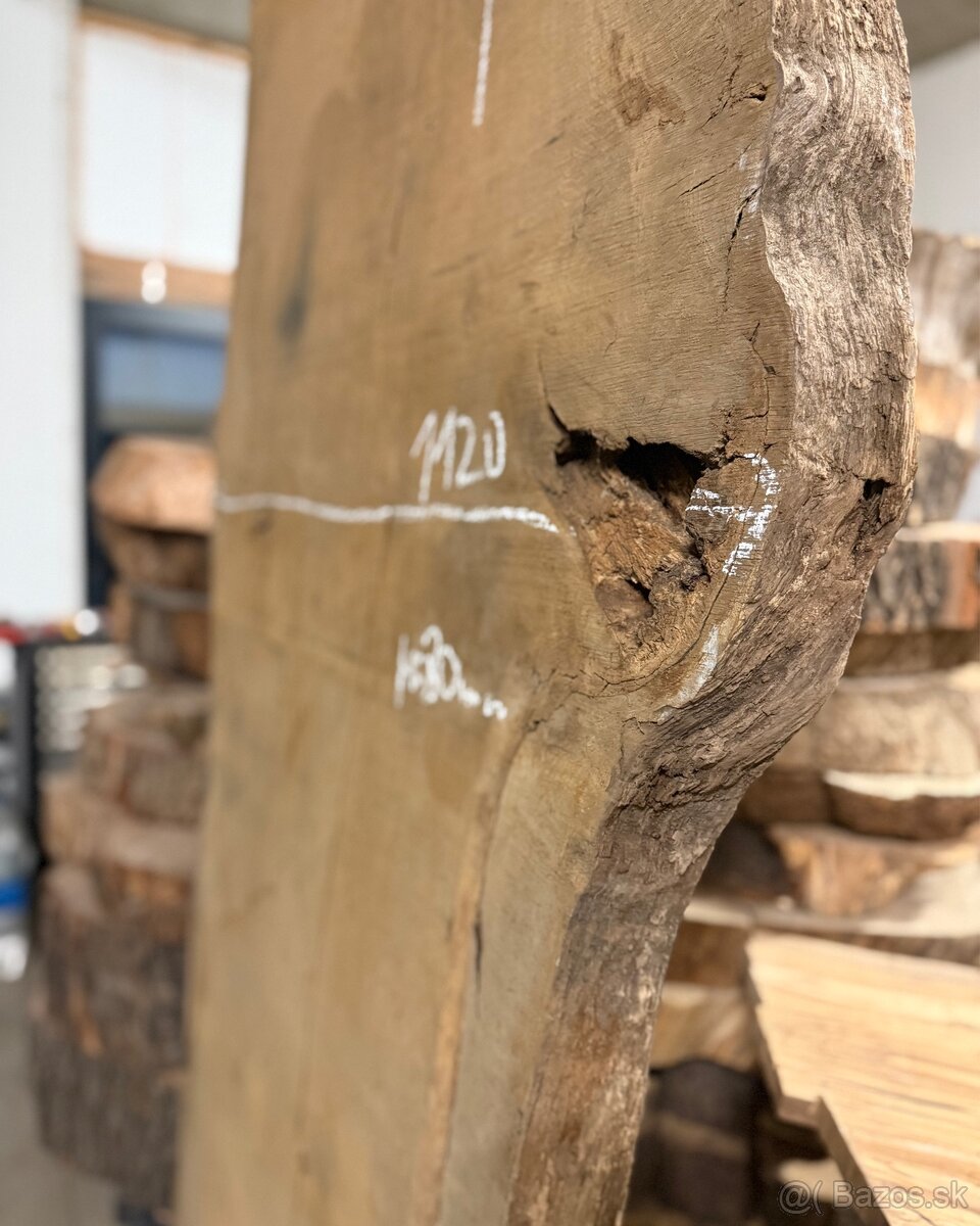 XXL DUBOVÁ FOŠŇA - 3