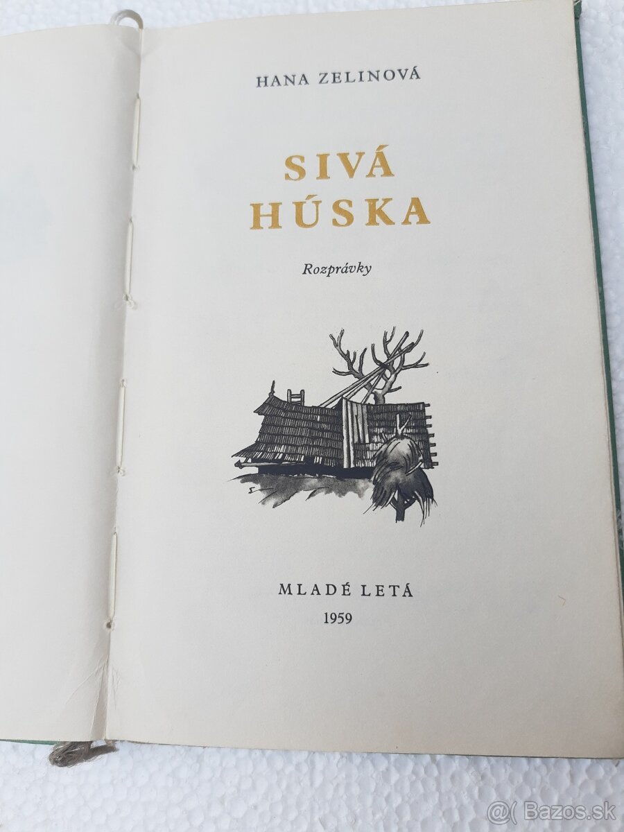 Sivá húska - Zelinová Hana - 3