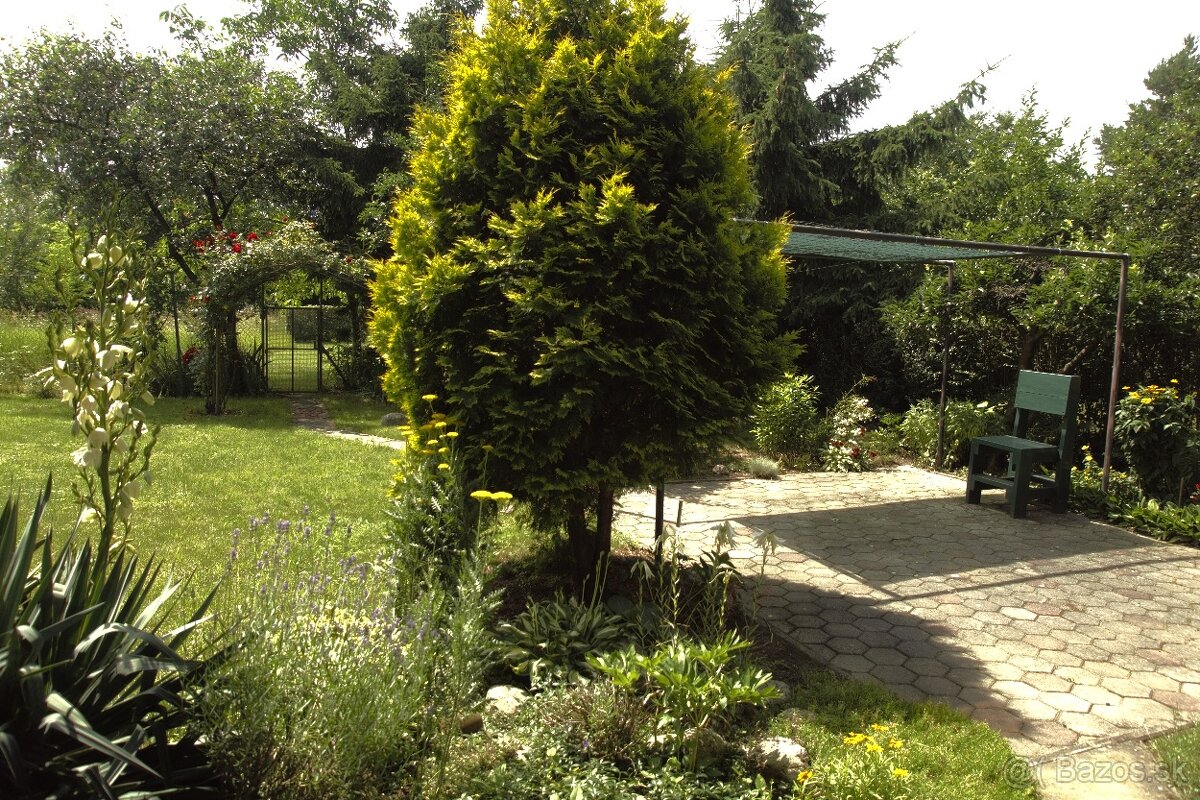 8 árový pozemok s chatou. - 3