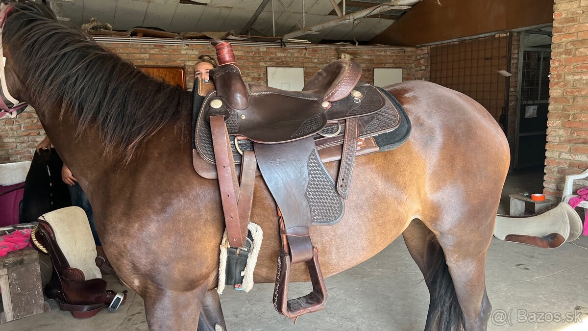 Westernove sedlo Dakota Roper 16’’ - 3