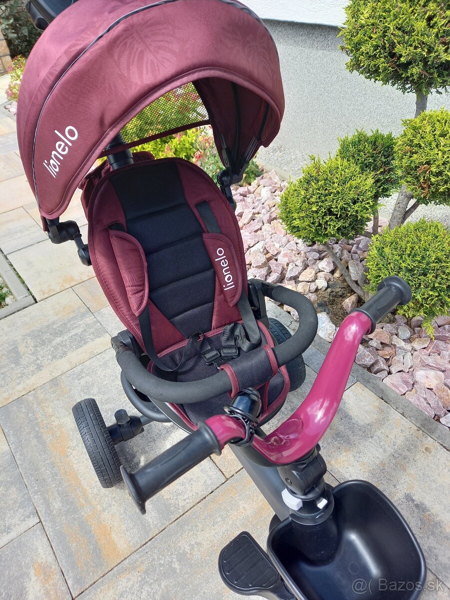 Detska trojkolka Lionelo - 3