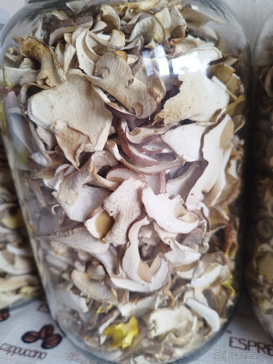 Predám sušené hriby - 3