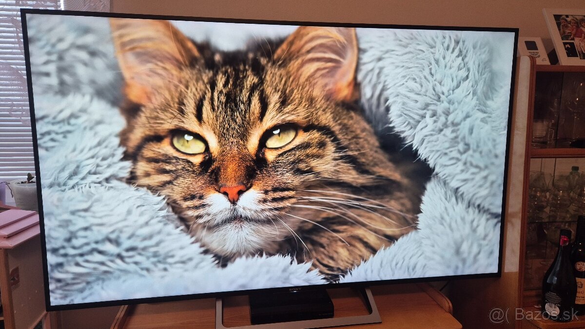 Sony kd-65xe7005 - 3