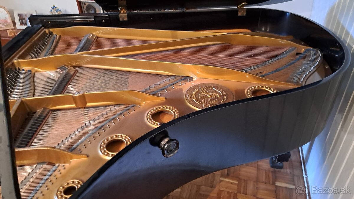 Krídlo August Förster - 3