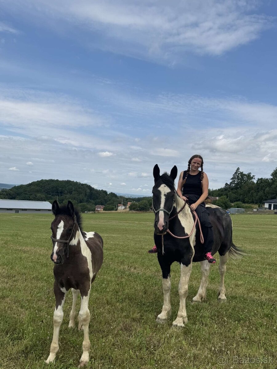 Kobylka do Rodiny hledá super Parťáka - 3