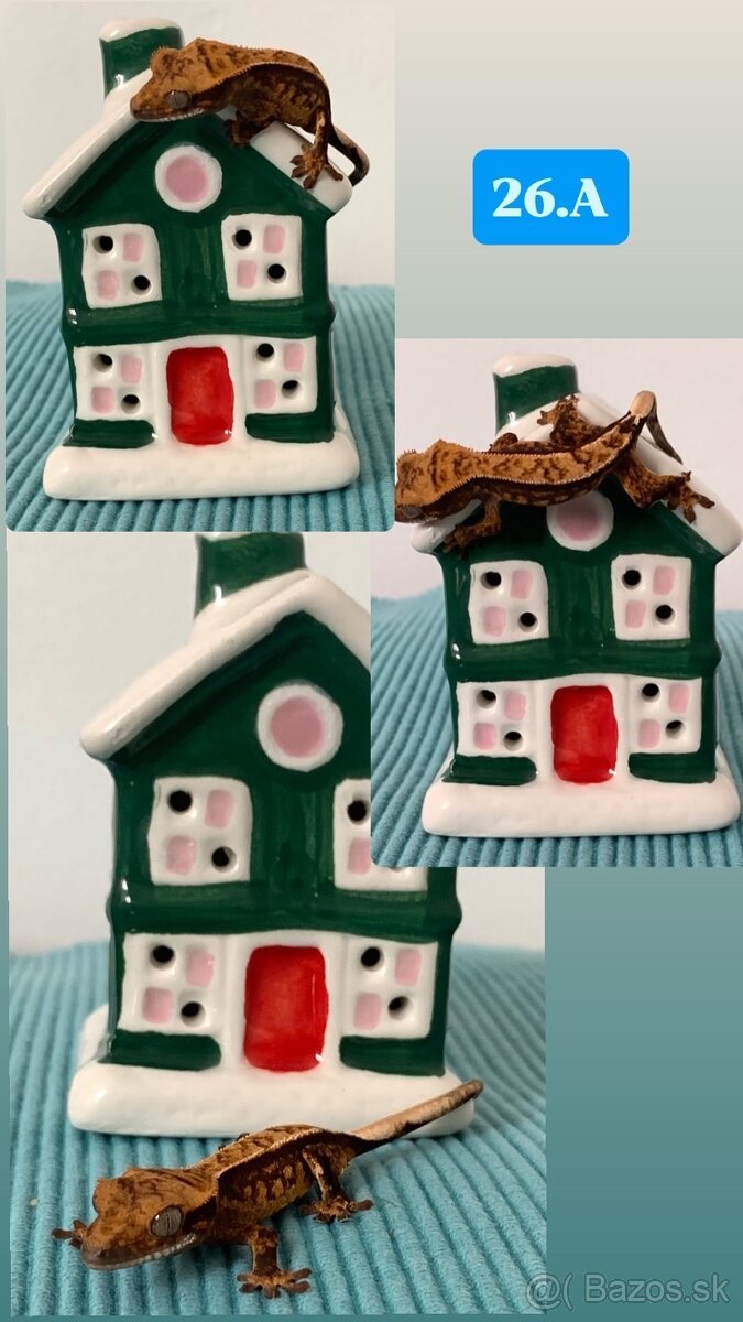 Pagekon riasnaty - 3