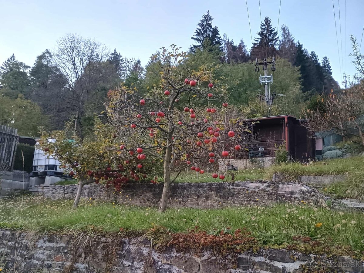 Záhradná chatka - 3