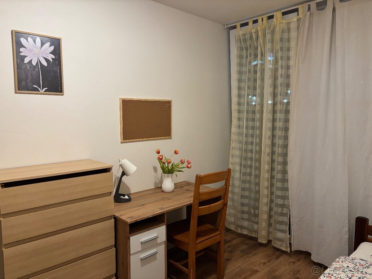 Prenajmem peknu izbu vo veľkom byte s terasou - 3