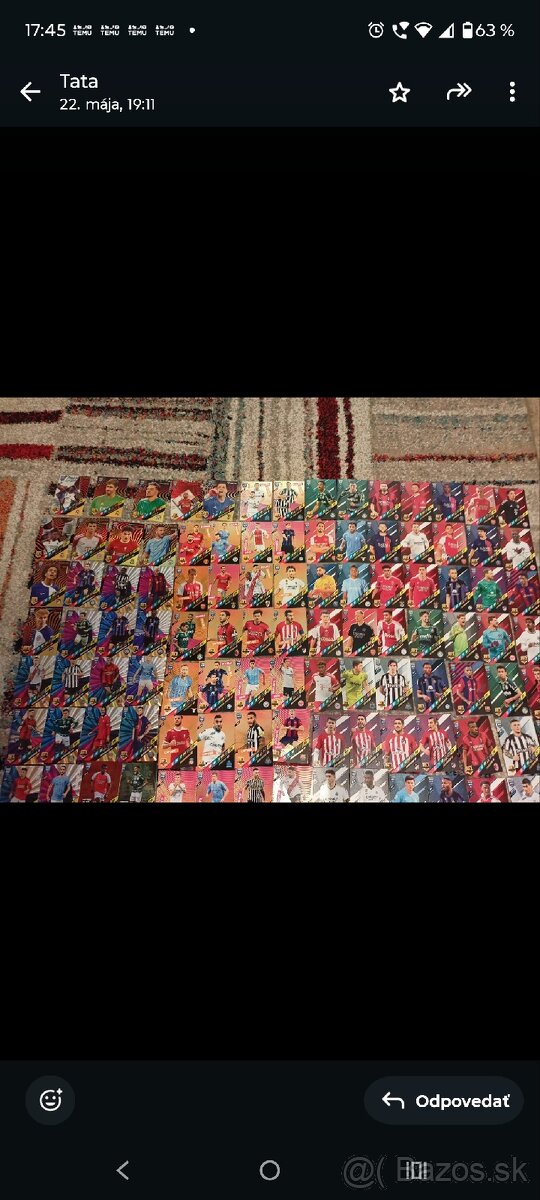 Kartičky panini adrenalín 2024 - 3
