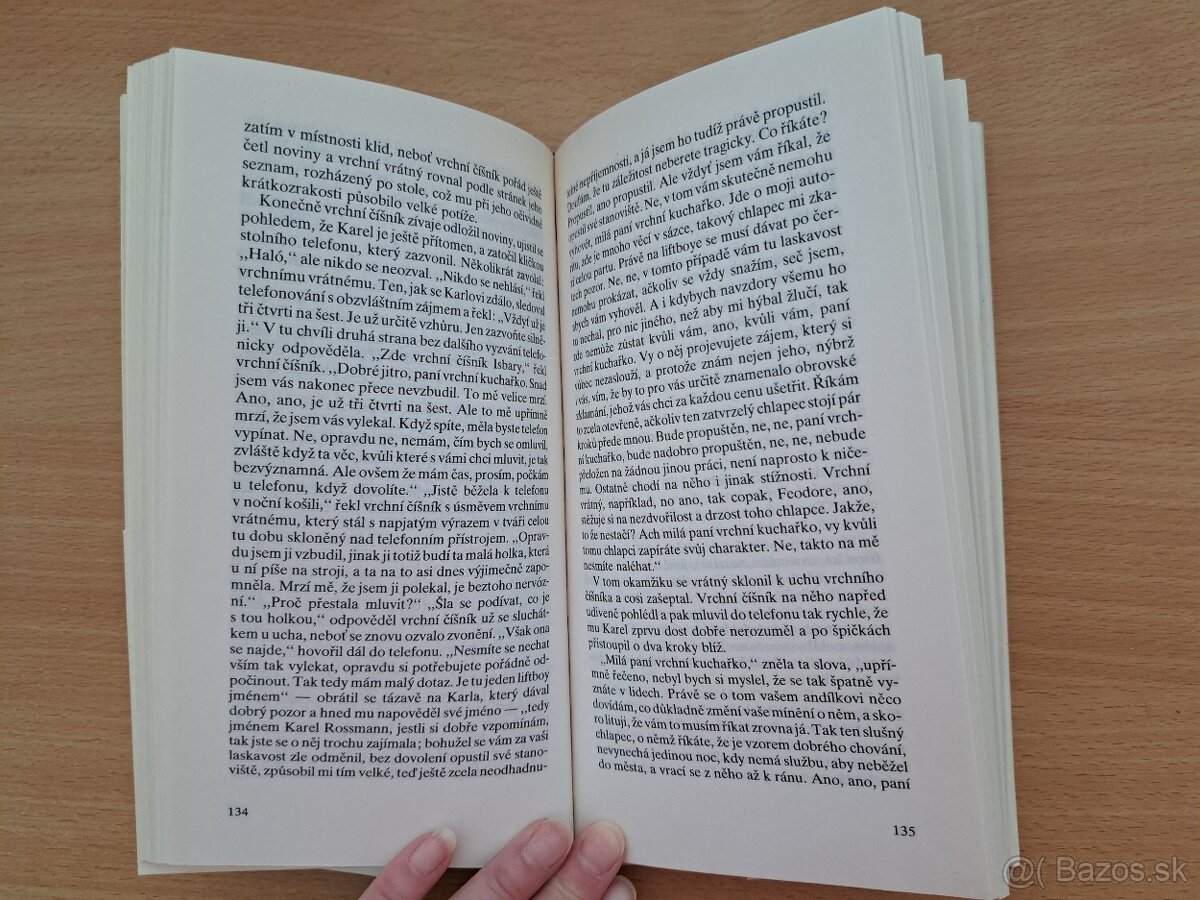 Franz Kafka: Nezvěstný (Amerika) - 3