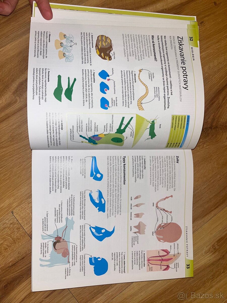 🔬 Prírodné vedy – Spolu to zvládneme - 3
