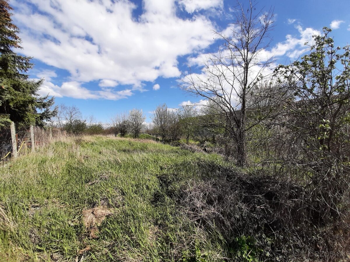 Predaj - stavebný pozemok Tekovské Lužany, okres Levice - 3