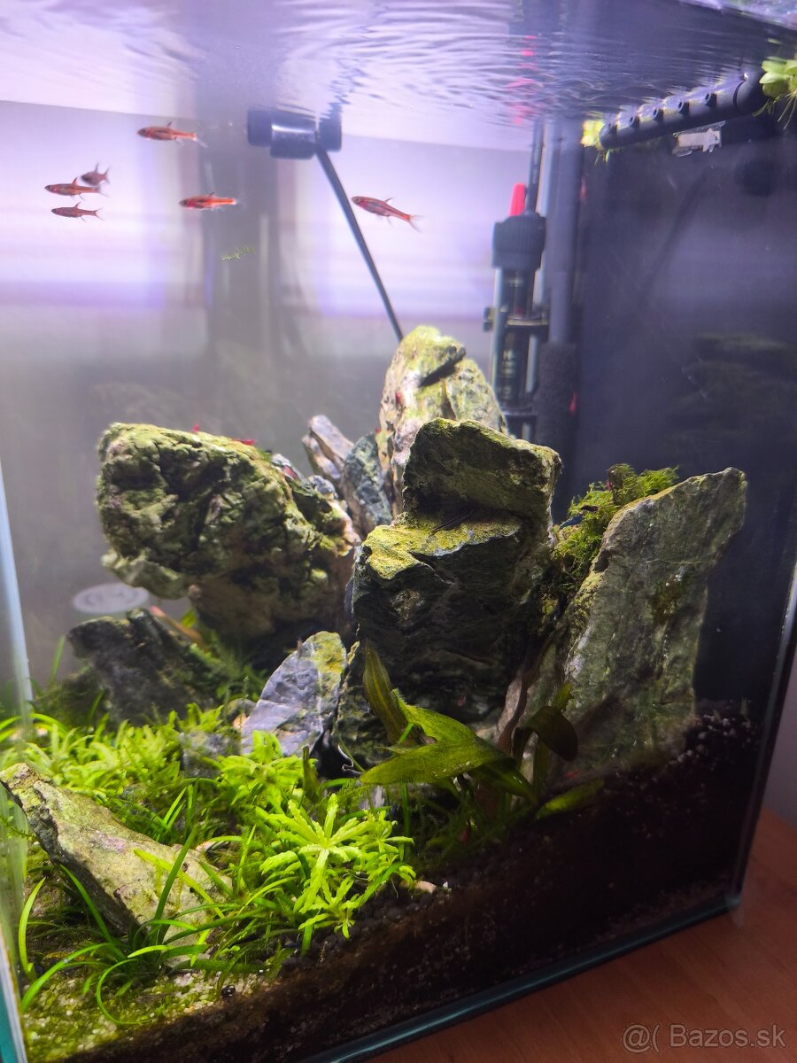 Predám nano akvárium - 3