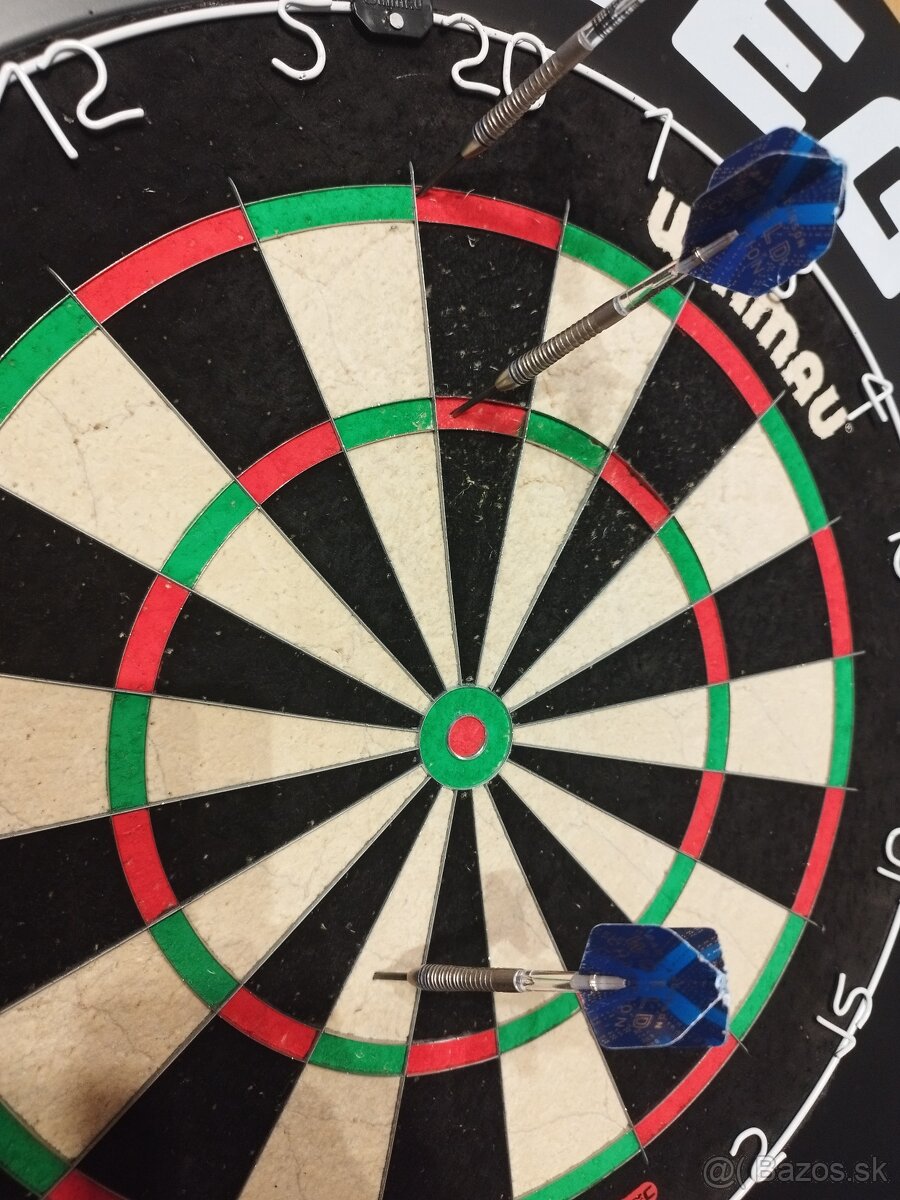 Šípky Gary Anderson Phase 6 - 3