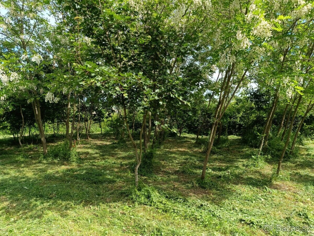 Hosťova - Vinohrady - 3