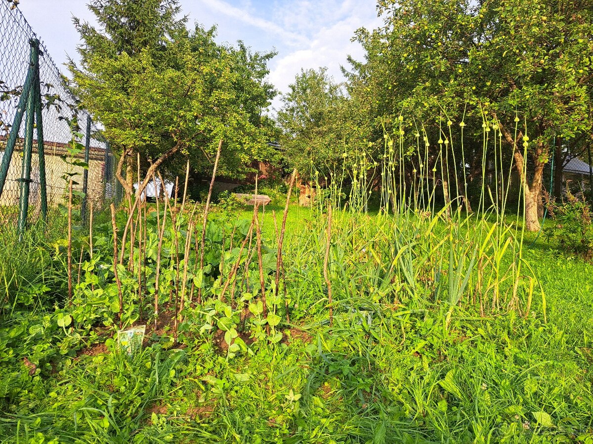 Chata so záhradou na prenájom - 3