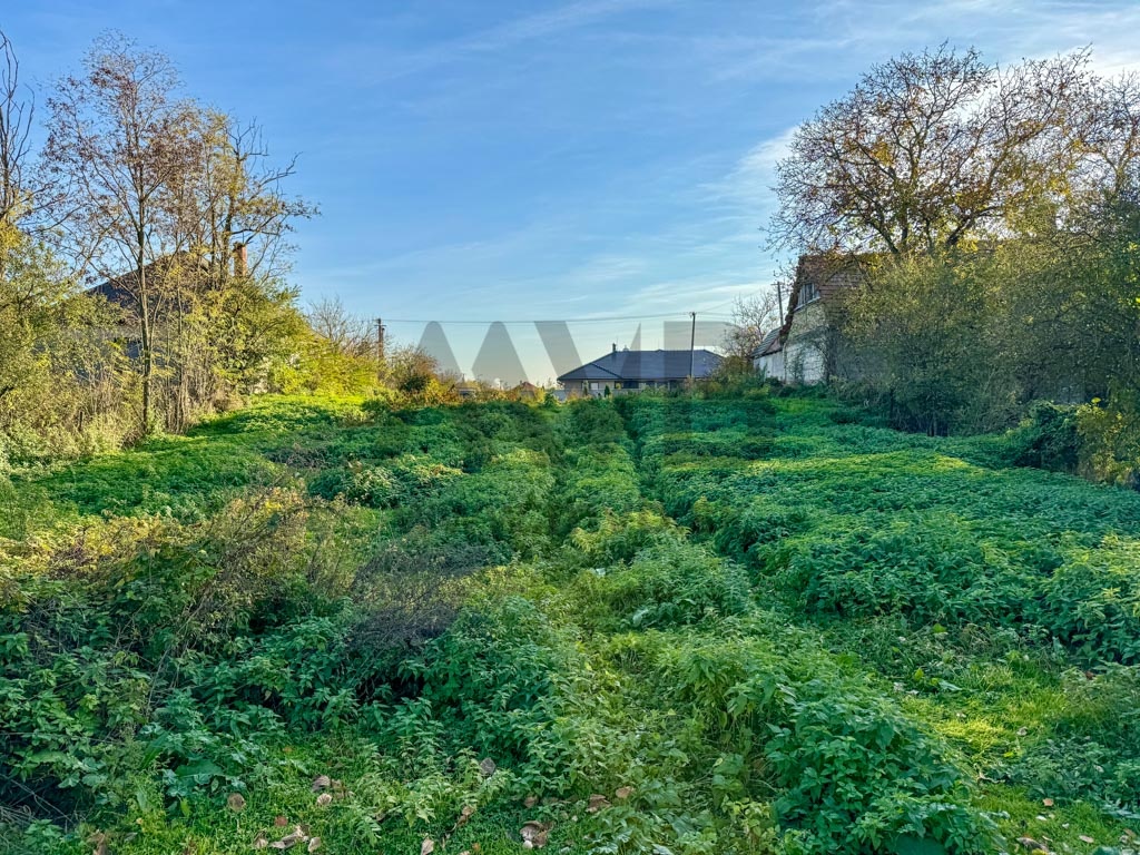 13 ÁROVÝ POZEMOK PRI KOMÁRNE S VÝHĽADOM NA JAZIERKO - 3