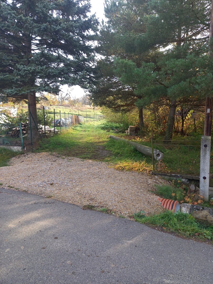 Záhrada - 3