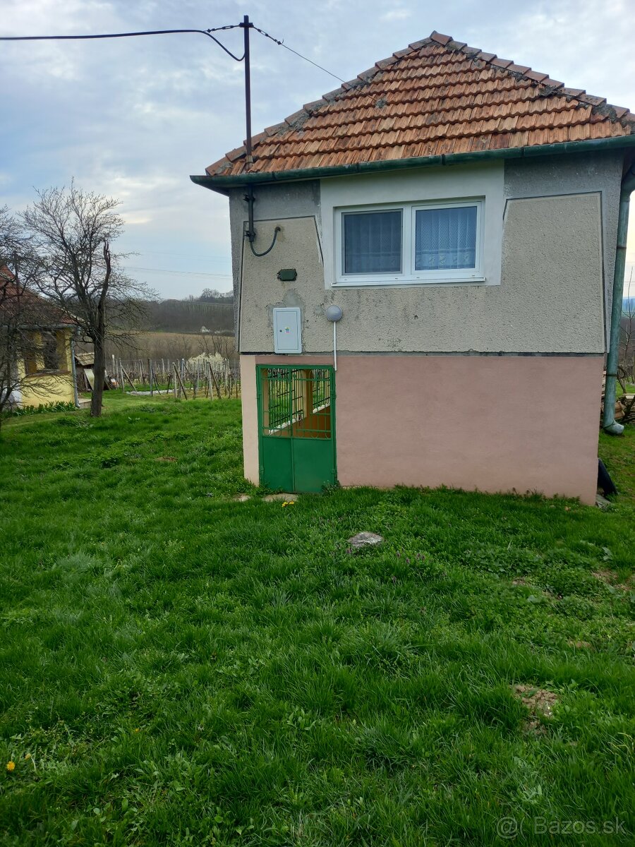Viničný Hajlok - 3