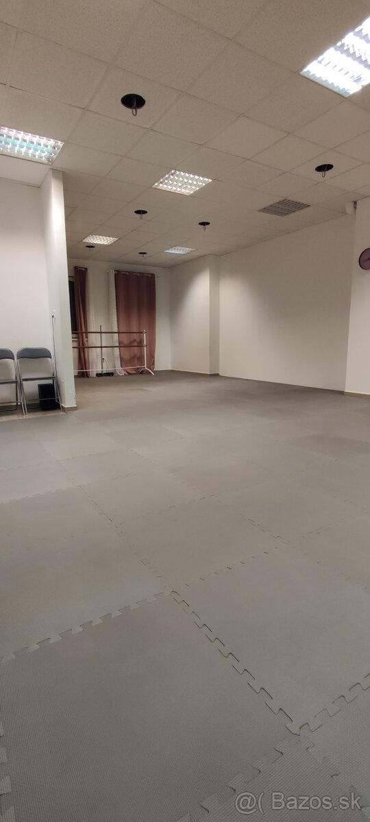 PRIESTOR 55 m2 na obchod, služby, Sereď centrum - 3