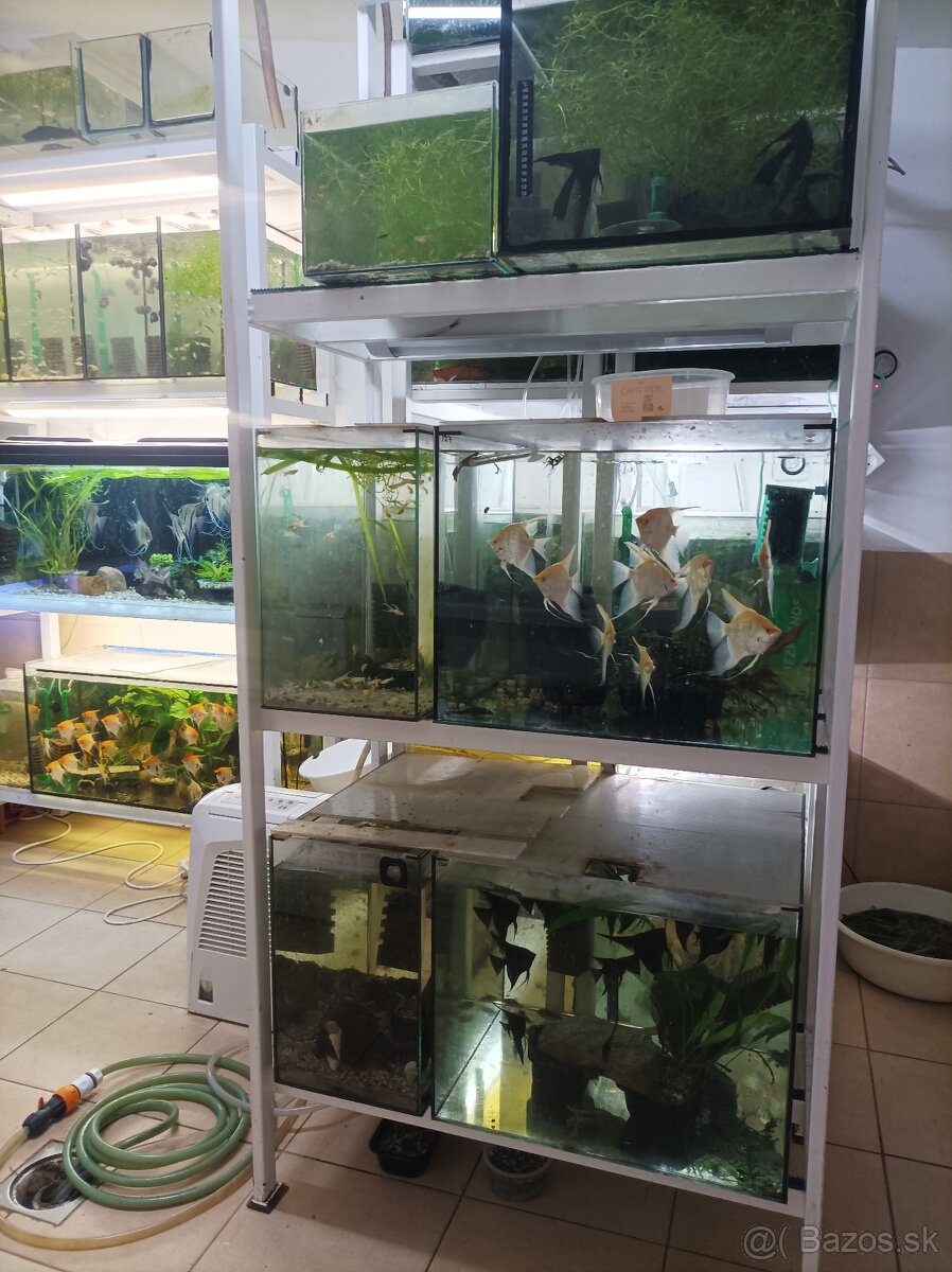 Predám stojky s akvariami - 3