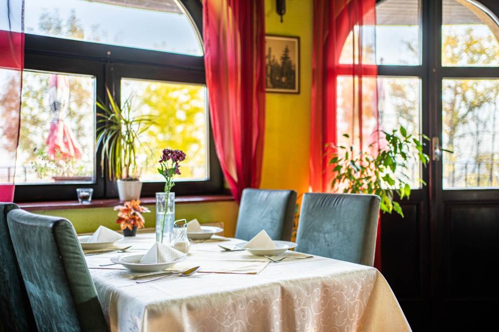 TOREA - PRENÁJOM OBJEKTU REŠTAURÁCIE - VINOSADY, OKRES PEZIN - 3