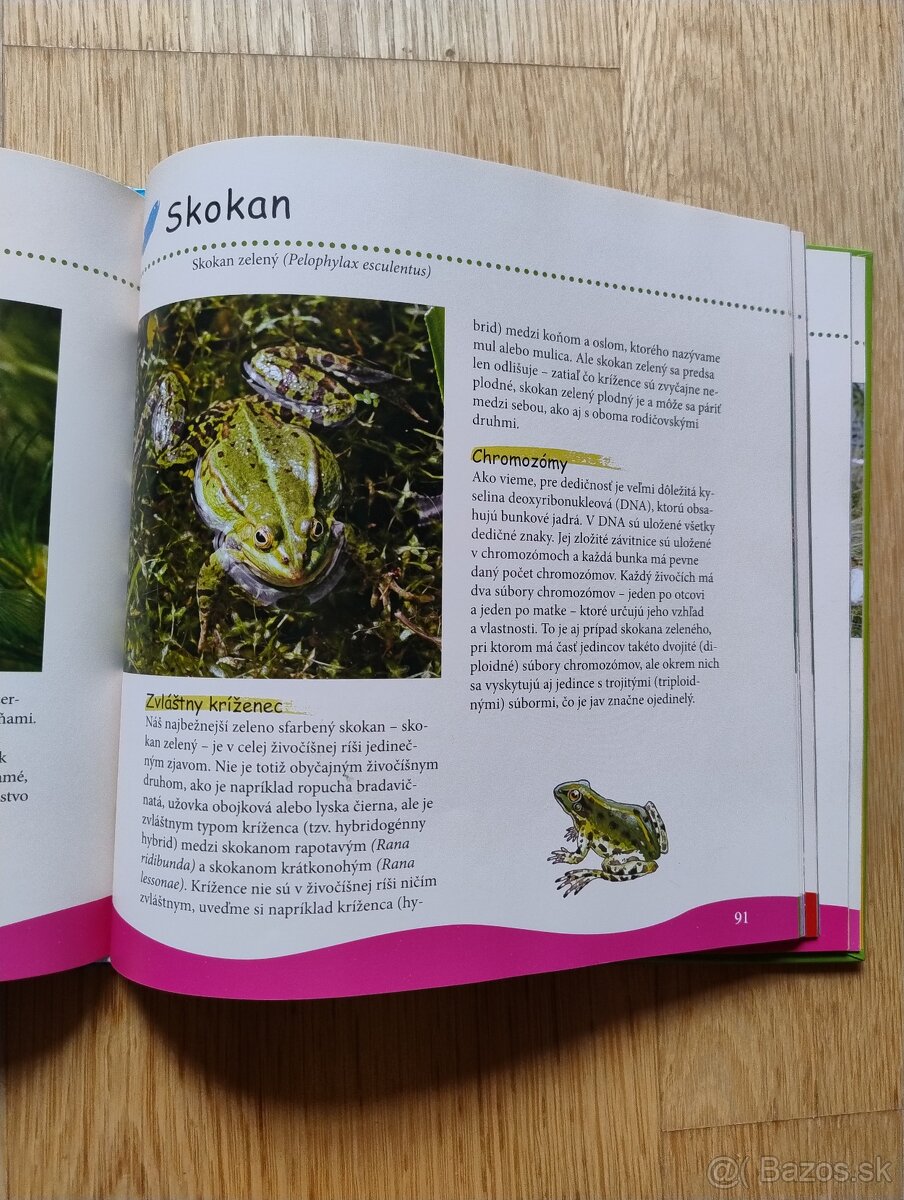 Sprievodca prírodou pre deti - 3