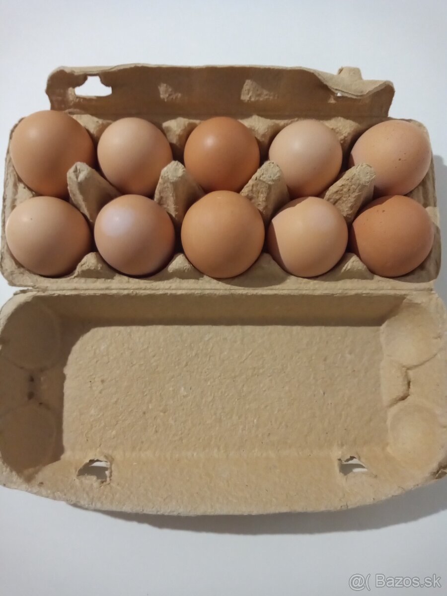Čerstvé domáce vajíčka - 3