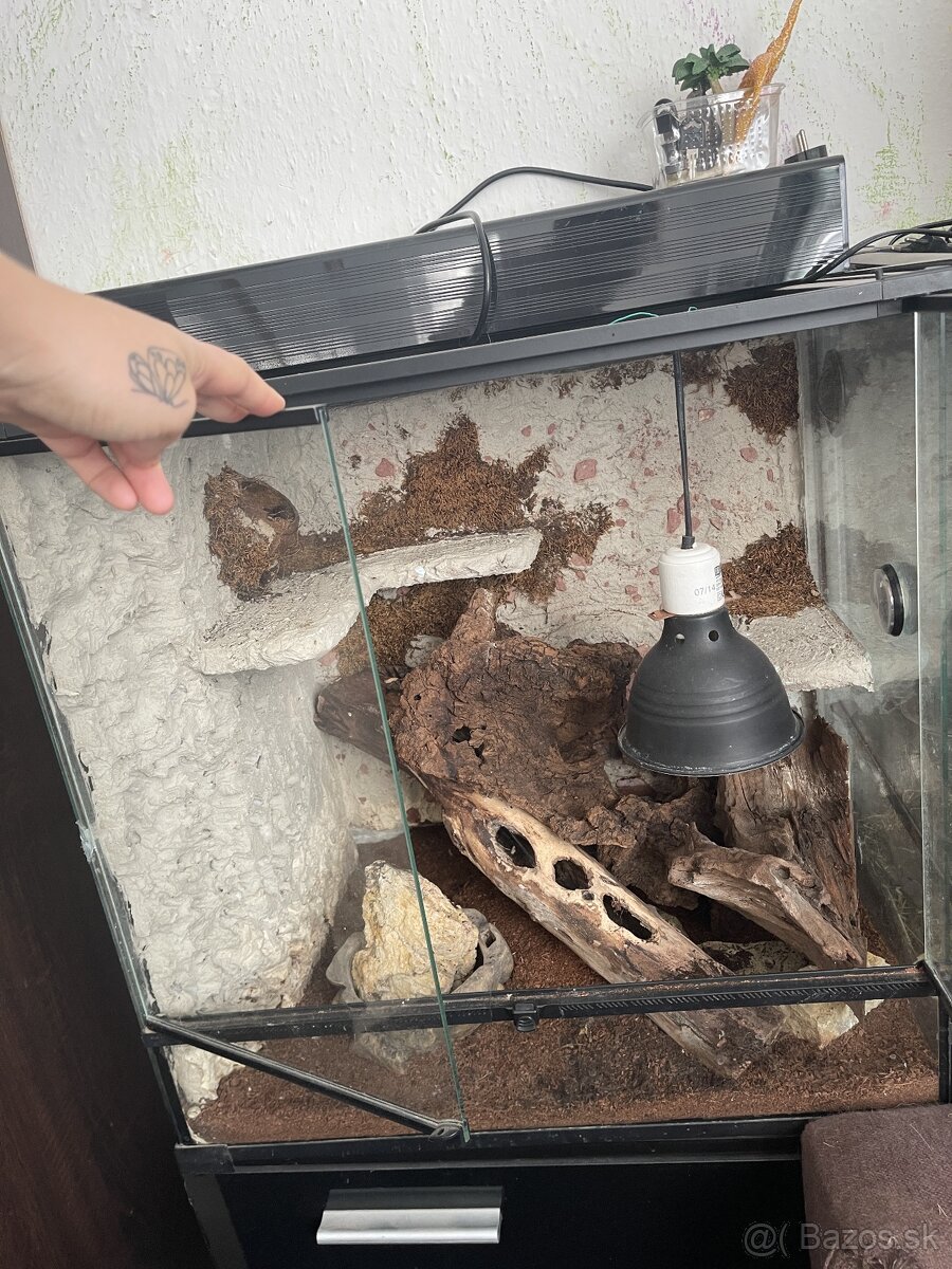 Terárium RP 60x60x45 - 3