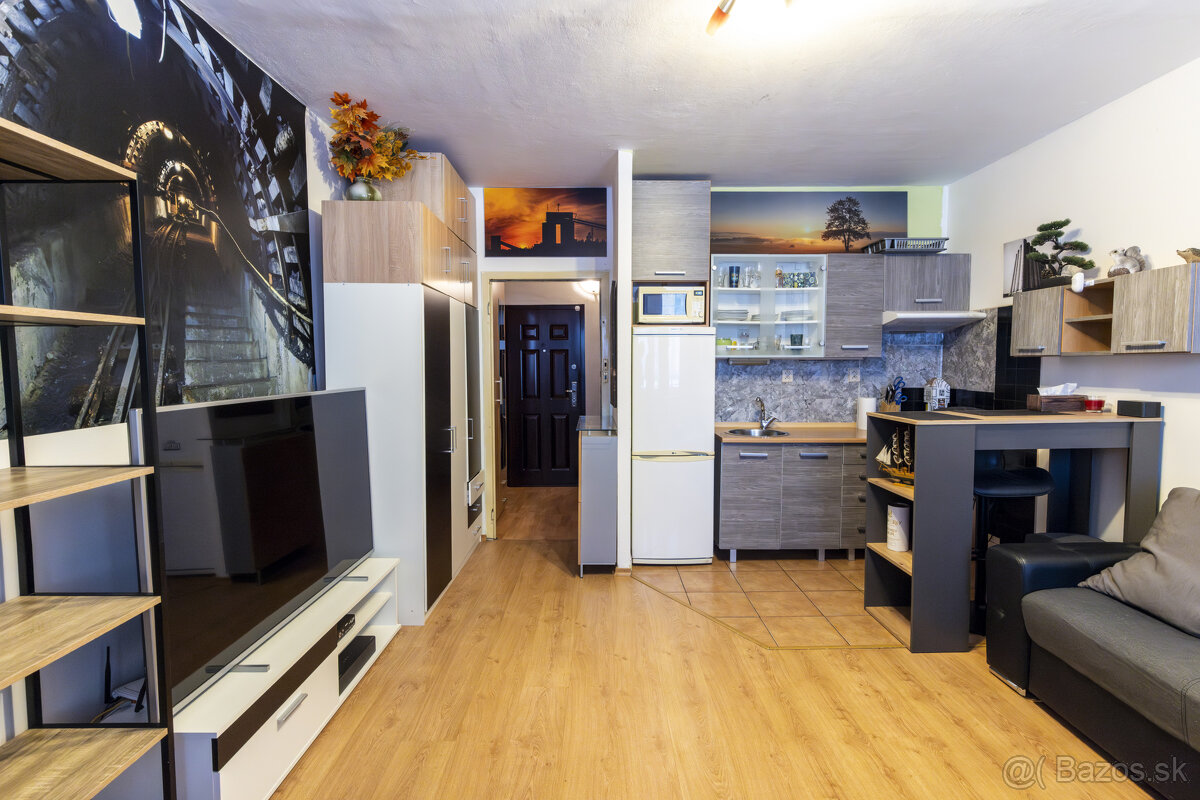 Predaj veľkej garsónky na KVP - 3